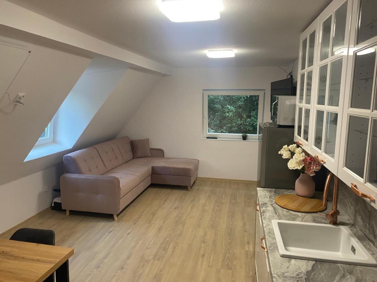 Mega Widok 2 Apartment *